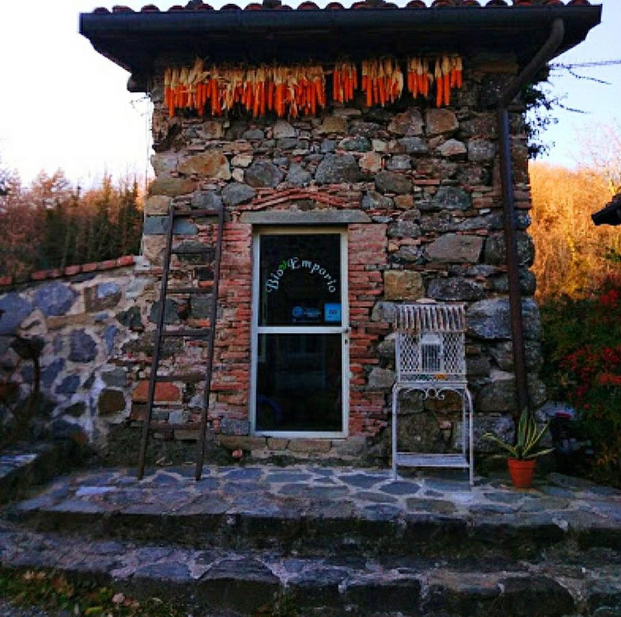 Agriturismo Paneolio Villa Collemandina Esterno foto