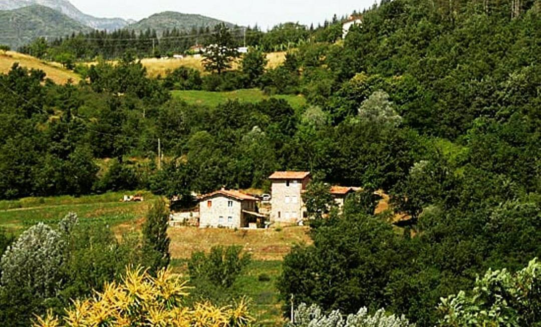 Agriturismo Paneolio Villa Collemandina Esterno foto