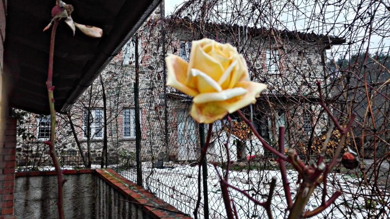 Agriturismo Paneolio Villa Collemandina Esterno foto