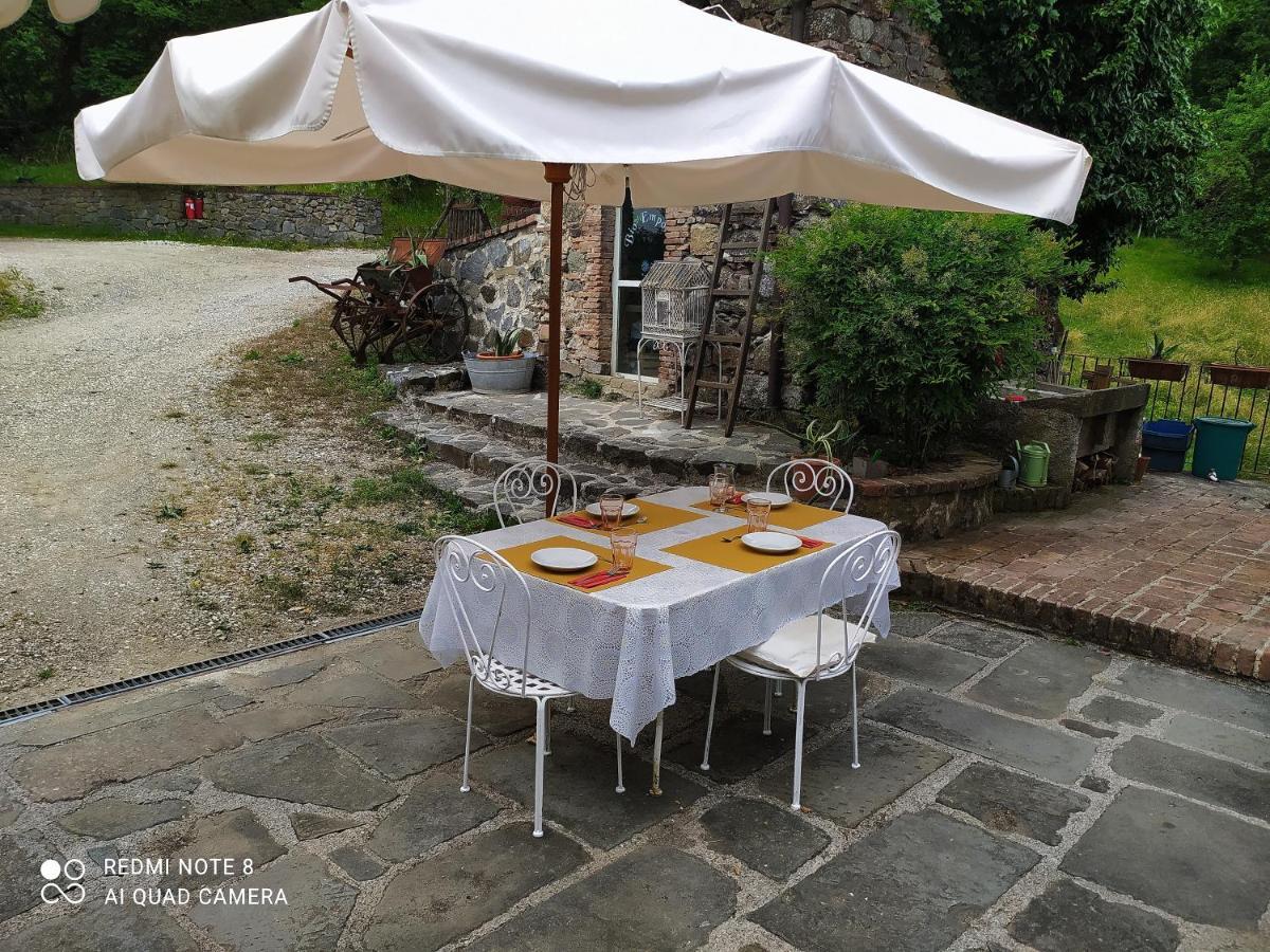 Agriturismo Paneolio Villa Collemandina Esterno foto