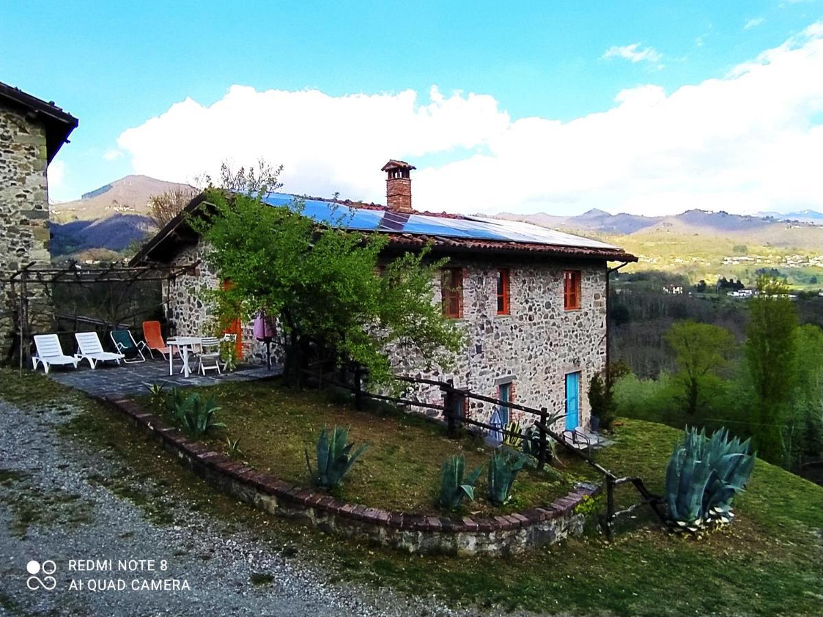 Agriturismo Paneolio Villa Collemandina Esterno foto